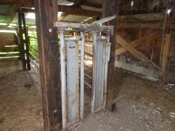 auction-item