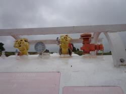 DSC06518