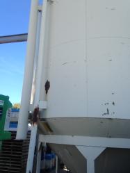 Freisen Harness Tank (6)