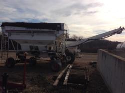 Simonsen Dry Tender (10)