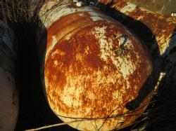 IMG_3289 (2)