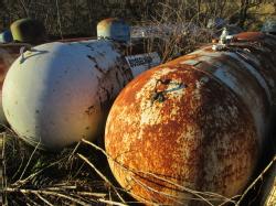 IMG_3290 (2)