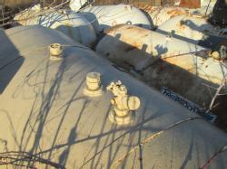 IMG_3299 (2)