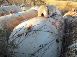 IMG_3306 (2)