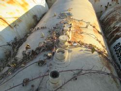 IMG_3324 (2)