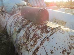 IMG_3335 (2)