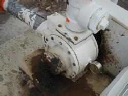 12,000 NH3 No Data Bangor (11)