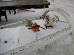 1100 Gallon Fuel Tank (7)