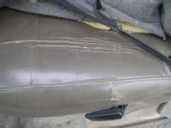 2006 Ford 555