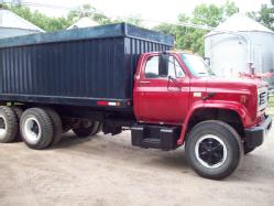 1981 Chevy (13)