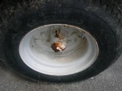 TCC parkan wagon tire size overview