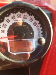IMG_0596 - Copy