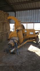 auction-item