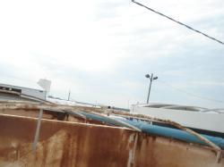 DSC05143