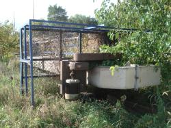DSC00501