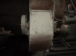 DSC02411