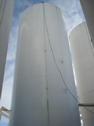 DSC05545