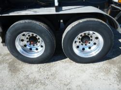 NP351 (17)