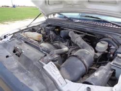Photo-13