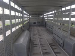 BR 365 (4)