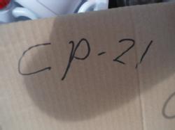 CP 21 (9)
