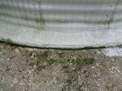 DSC01632