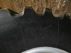 TR 313 (6)
