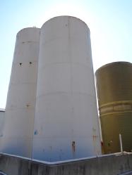DSC03980