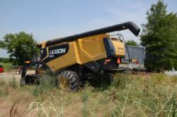Lexion (5)