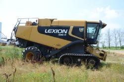 Lexion (6)