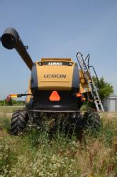 Lexion (8)