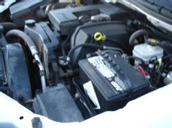 TR 555 (16)