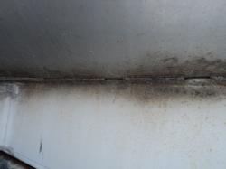 DSC08215