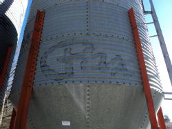 DSC09539
