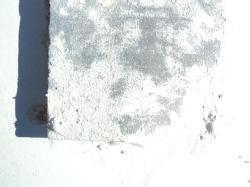 DSC00993