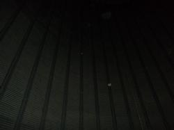 DSC03907