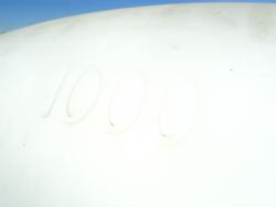 DSC08516