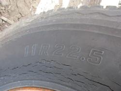 DR-2954 (14)