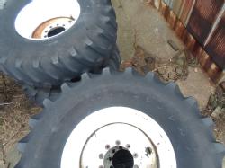 SAM_0335