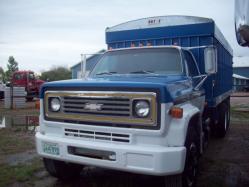 DR3388 (2)