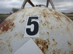 DR-3343 (13)