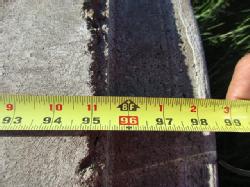 DR-3640 (5)