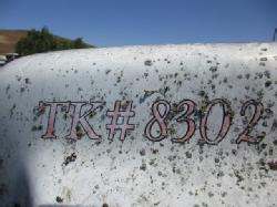 DR3666 (11)