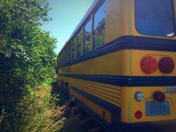 BR 4530 (14)