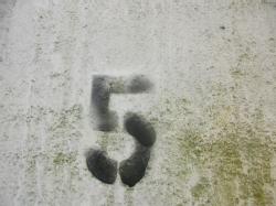 DR-3969 (6)
