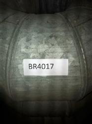 BR 4017 (9)