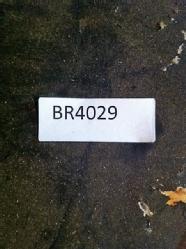 BR 4029 (7)