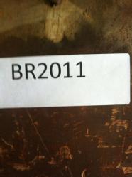 BR 2011 (19)