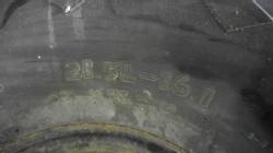 DR-4519 (2)