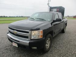 auction-item